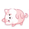 Gatitos💞18🇵🇪Clásica 20