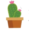 Surtiditos Mexicanos🇲🇽💞1🇵🇪Clásica 19