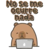 Capybara cute 🤎🐾 18