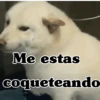 Me estas coqueteando