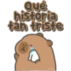 Capybara cute 🤎🐾 19