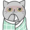 Cat Fullmoon 21