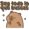Capybara cute 🤎🐾 22