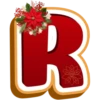 ABC POINSETTIA RED LETTER 24