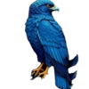 Variaditos Azules🔷💞2🇵🇪Clásica 16