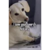 I saw your search
history