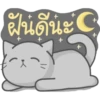 Cat Fullmoon 22