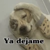 Ya dejame