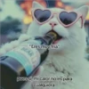 "Eres muy fria" BEAR pues sí, mi calor no es para cualquiera.