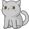 Cat Fullmoon 23