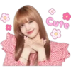🌸 Black Pink 💖 23