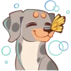 Perro Rum Rum💞1🇵🇪Clásica 22