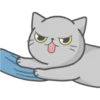 Cat Fullmoon 24