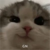 VARIOS OCTUBRE 🐧🐈 24