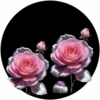 Full Rosa💞3🇵🇪Clásica 24