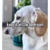 keep it in the bedroom