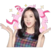 🌸 Black Pink 💖 24