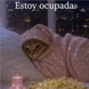 Estoy ocupada.