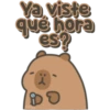 Capybara cute 🤎🐾 24