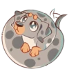 Perro Rum Rum💞1🇵🇪Clásica 24