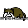 birgen santizima
