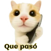 Que pasó