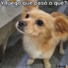 Mix Bib🧸֍2🇲🇽Clásica 17