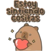 Capybara cute 🤎🐾 26
