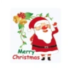 MERRY CHRISTMAS SANTA 23