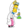SIMPSONS 23