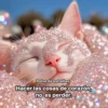 Polvo de estrellas Hacer las cosas de corazón, no es perder.