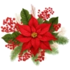 ABC 🌺 POINSETTIA LOWER CASE LETTERS 24