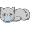 Cat Fullmoon 28