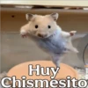 Mix Bib🧸֍1🇲🇽Clásica 23