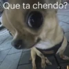 Mix Bib🧸֍2🇲🇽Clásica 18