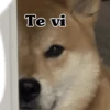 Te vi