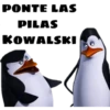 Kowalski opciones 24