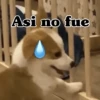 Asi no fue