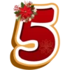 CHRISTMAS NUMBERS POINSETTIA 23