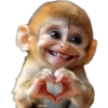 Animalitos Corazón 2 ❤ 🐕 🇲🇽 23