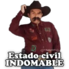 Carna
Ignacion
Estado civil
INDOMABLE