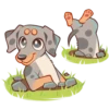 Perro Rum Rum💞1🇵🇪Clásica 26