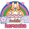 AWWW cochita hemocha