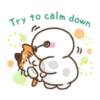 Baymax & Mochi 🌸♥ 25
