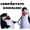 Kowalski opciones 26