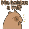 Capybara cute 🤎🐾 28