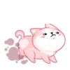 Gatitos💞18🇵🇪Clásica 25