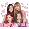 🌸 Black Pink 💖 28