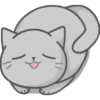 Cat Fullmoon 30
