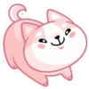 Gatitos💞18🇵🇪Clásica 26